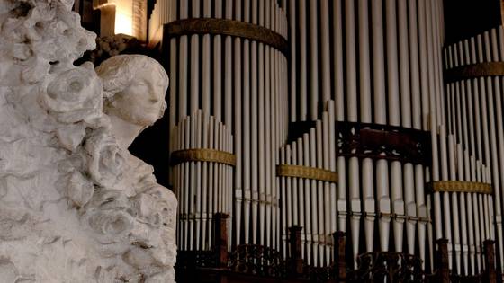 A stone bust among roses beside the organ pipes